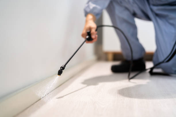 Licensed Pest Control service in Pinebluff, NC - Show Me Pest Control